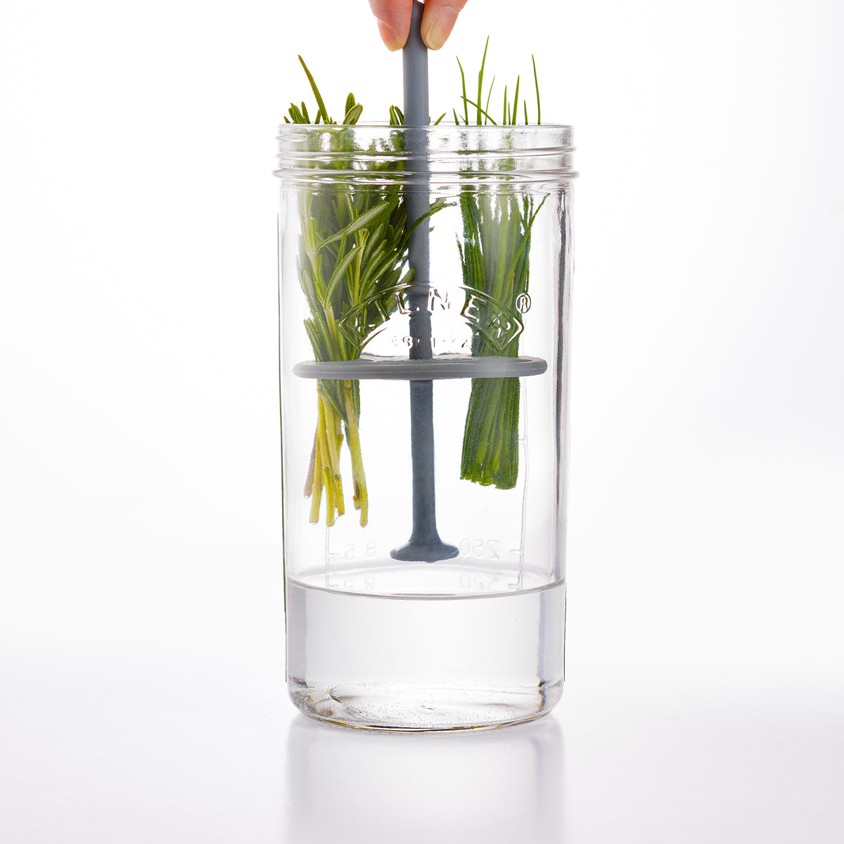 kräuter aufbewahrung glas Kräuteraufbewahrungsglas, 1 Liter – Kilner